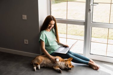 Dizüstü bilgisayarlı hamile kız gülümsemesi ve evde Corgi köpeğiyle oynaması. Programcı kadın internette çalışıyor ve köpeğine sarılıyor. Galli Corgi Pembroke 'la eğleniyorum.