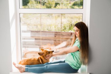 Hamile kız ve Corgi köpeği. Evdeki pencere eşiğinde Galli Corgi Pembroke köpeğiyle oynaşan ve oynaşan kız. Evcil hayvanlarla yaşam tarzı