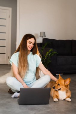 Dizüstü bilgisayarı olan hamile bir kız ve Corgi köpeği yerde oturmuş arkadaşlarıyla sohbet ediyor. Galli Corgi Pembroke ile yaşam tarzı hamileliği