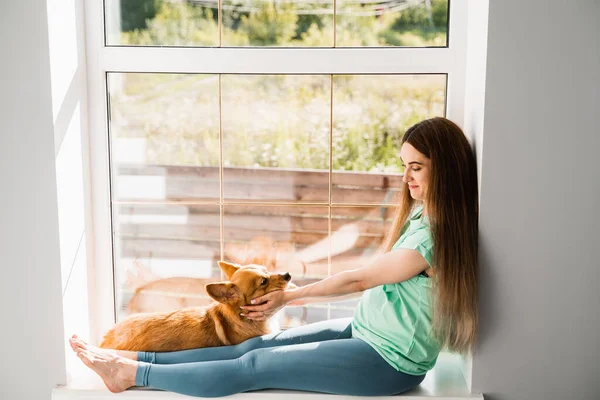 妊娠中の女の子とコーギー犬 自宅の窓辺でウェールズのコーギー ペンブローク犬と女の子のペッティングや遊び ペットとの生活 — ストック写真