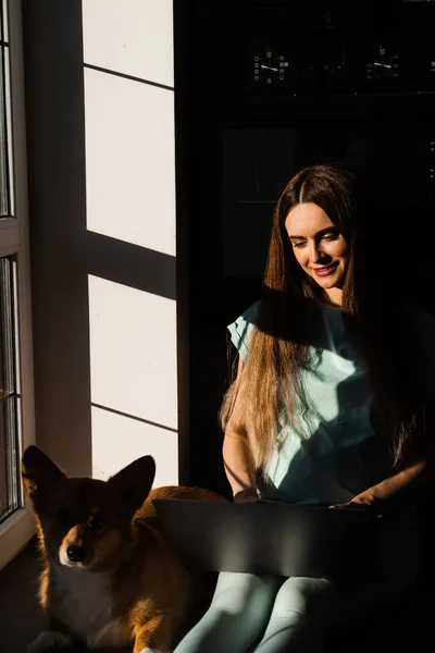 Hamile Kadın Dizüstü Bilgisayarla Yerde Oturuyor Evde Corgi Dog Sarılıyor — Stok fotoğraf