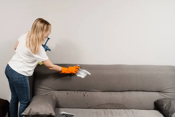 Woman smearing detergent with brush on the sofa and making dry cleaning for removing stains and dirt from couch at home. Professional cleaning service
