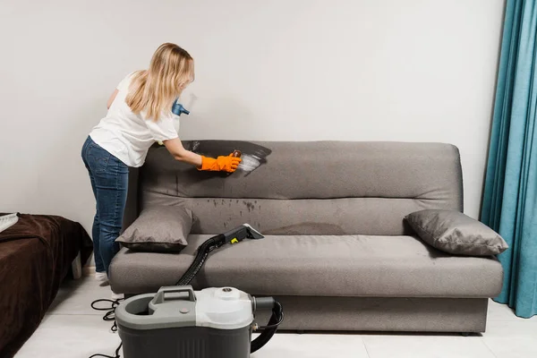 Dry cleaning worker is brushing detergent on the couch and making dry cleaning for removing stains and dirt from couch at home. Professional cleaning service