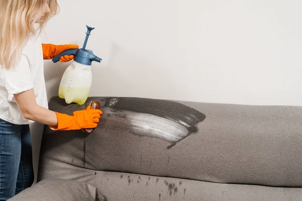 Dry cleaning worker is brushing detergent on the couch and making dry cleaning for removing stains and dirt from couch at home. Professional cleaning service