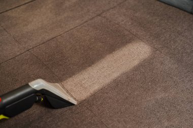 Domestic cleaning service cleaner is removing dirt and dust from couch using dry cleaning extraction machine. Line on couch after spraying water of dry cleaning extractor machine close-up