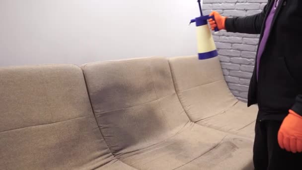 Video Process Dry Cleaning Removing Stains Dirt Couch Home Professional — Wideo stockowe