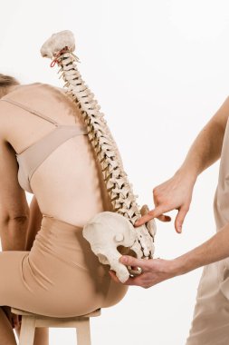 Ortopedist, beyaz arka planda bir kızla omurga modelini gösteriyor. Skolyoz omurganın yan eğriliğidir. Genç bir kadınla omurga anatomik modeli.