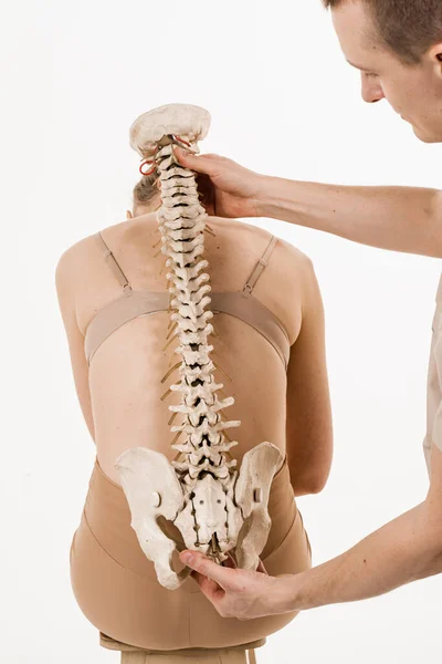 骨科医生显示脊柱模型与女孩在白色背景 脊柱侧弯是脊柱侧弯 后骨解剖模型与年轻女性 — 图库照片