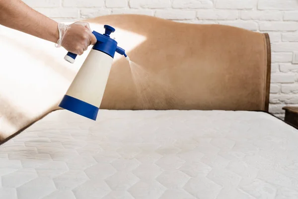 Mattress cleaning. Spraying detergent on mattress for dry cleaning. Professional cleaner in gloves is pouring detergent on mattress for removing stains and dirt