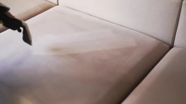 4k video line on couch after spraying water of dry cleaning extractor machine. Domestic cleaning service cleaner is removing dirt and dust from couch using dry cleaning extraction machine