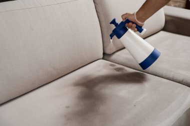 Spraying detergent on couch for dry cleaning using extractor machine. Process of dry cleaning for removing stains and dirt from couch at home. Professional cleaning service