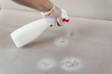 Temizlikçi, temizlenmiş tekstil mobilyalarından lekeleri temizlemek ve temizlemek için kuru temizleme deterjanı püskürtüyor ve kokuyu nötralize ediyor.