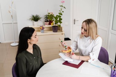 Jinekolog, model örneğinde rahmin yapısını açıklıyor. Jinekolog şikayetleri, jinekolojik geçmişi, üreme sisteminin geçmiş veya güncel hastalıkları hakkında danışmanlık