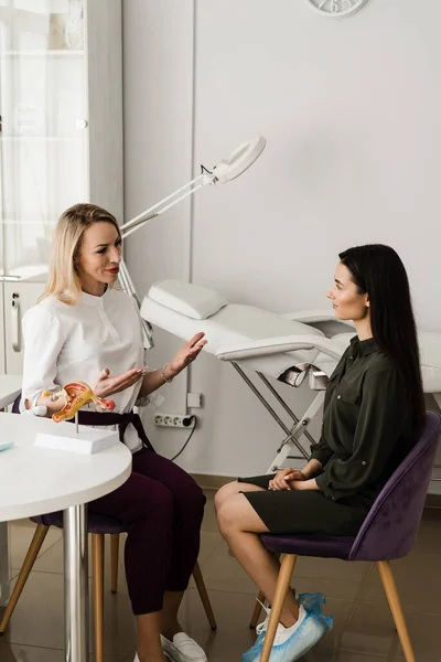 Gynecologist consultation about complaints, gynecological history, previous or current diseases of reproductive system. Gynecologist explains uterus structure on the example of model