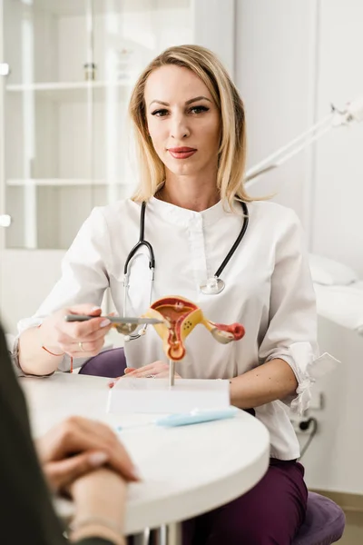 Gynecologist explains uterus structure on the example of model. Gynecologist consultation about complaints, gynecological history, previous or current diseases of reproductive system
