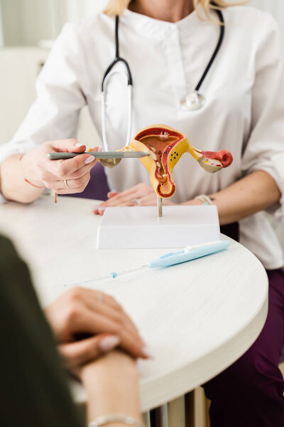 Гинеколог объясняет структуру матки на примере модели. Консультация гинеколога по жалобам, гинекологической истории, предыдущим или текущим заболеваниям репродуктивной системы