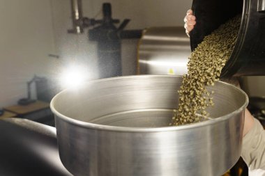 Tesiste kızarmak için yeşil organik kahve taneleri hazırlıyorum. Taze çiğ kahve çekirdekleri üretimdeki kabın içinde.