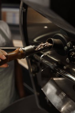 Kahve makinesinde kahve çekirdeği kızartıyorum. Tesiste kızarmış kahve taneleri var. Profesyonel kahve kızartma makinesi.