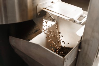 Kavrulduktan sonra taze kavrulmuş kahve çekirdeği döküyorum. Profesyonel kahve çekirdekleri. Tesiste kavurma işlemi yapılıyor.