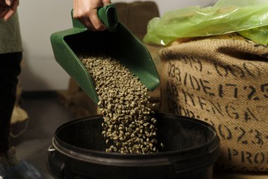 Bir avuç dolusu çiğ kahve çekirdeğini torbaya doldurmak. Yeşil kahveyi ayırıyorum. Tesisteki kepçelerde çiğ yeşil kahve çekirdekleri..