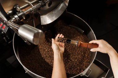 Prodüksiyonda kavrulmuş kahve çekirdekleri. Bir avuç dolusu kızarmış kahve taneleri. Yüksek kaliteli kahve çekirdekleri üretimi