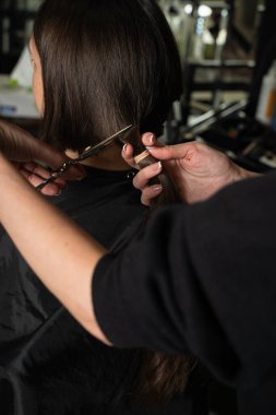 Kuaför esmer bir müşteriye kestirme yol yapıyor. Yeni bir kısa saç modeli yaptırıyorum. Saç kesme makinesi kadın saç stilleri için.