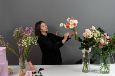 Müşteriler için Gerberas 'tan çiçek kompozisyonu hazırlıyorum. Çiçekçi çiçekçide çiçek toplamak için papatya çiçeği topluyor.