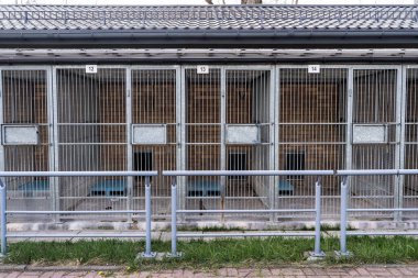 Hayvan barınaklarının dış görünüşü birden fazla metal kafes gösteriyor. Köpek barınağı, köpek kulübeleri ve çitleri var. Sokak köpekleri ve kurtarma köpekleri için kafesli hayvan barınağı