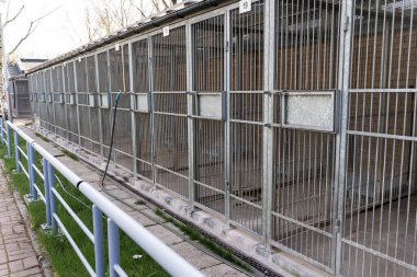 Hayvan barınaklarının dış görünüşü birden fazla metal kafes gösteriyor. Köpek barınağı, köpek kulübeleri ve çitleri var. Sokak köpekleri ve kurtarma köpekleri için kafesli hayvan barınağı