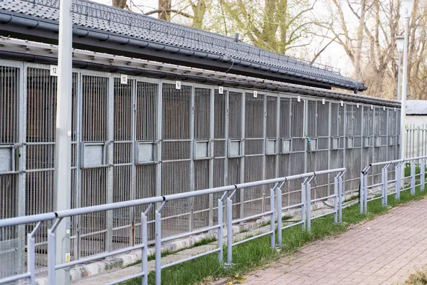 Hayvan barınaklarının dış görünüşü birden fazla metal kafes gösteriyor. Köpek barınağı, köpek kulübeleri ve çitleri var. Sokak köpekleri ve kurtarma köpekleri için kafesli hayvan barınağı