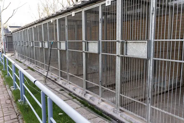 Hayvan barınaklarının dış görünüşü birden fazla metal kafes gösteriyor. Köpek barınağı, köpek kulübeleri ve çitleri var. Sokak köpekleri ve kurtarma köpekleri için kafesli hayvan barınağı