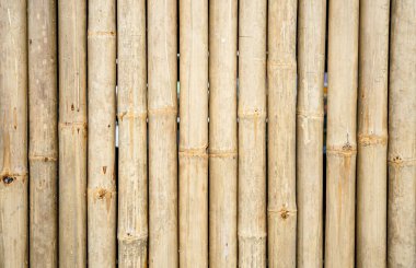 Bambu duvar arkaplan dokusu