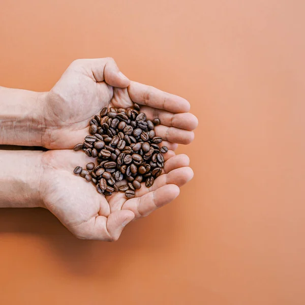 stock image hands holding coffee beans on brown background 