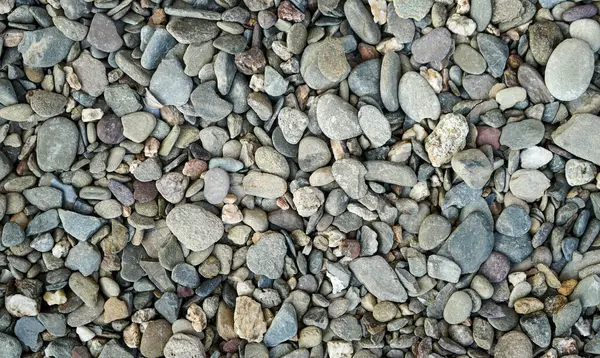 Pebble Stone Background Texture — Fotografia de Stock