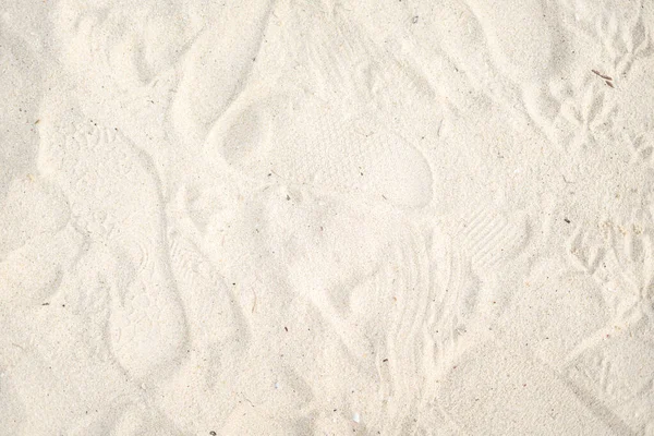 Текстура Песка Следами Морских Следов — стоковое фото