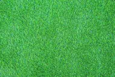 yeşil çimen arkaplan dokusu.