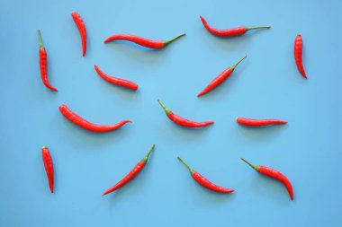 Düz kırmızı biberler ve yeşil yapraklar mavi arka Grou 'da yalıtılmış