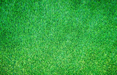çimen dokusu, çimen arkaplan