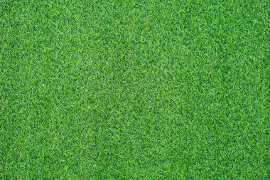 yeşil çimen arkaplan dokusu