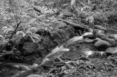 Somerset 'teki Horner Ormanı' ndan akan Horner Nehri 'ndeki şelaleye uzun süre maruz kalmış.