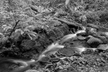 Somerset 'teki Horner Ormanı' ndan akan Horner Nehri 'ndeki şelaleye uzun süre maruz kalmış.
