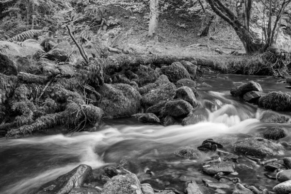 サマセットのホーナーの森を流れるホーナー川の滝の長い露出 — ストック写真