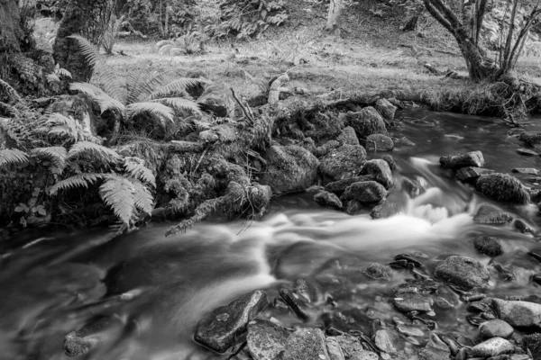 Довгий Час Водоспад Річці Хорнер Тече Через Гірські Ліси Сомерсеті — стокове фото