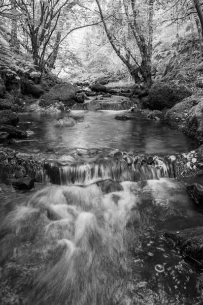 Somerset Teki Horner Ormanı Ndan Akan Horner Nehri Ndeki Şelaleye — Stok fotoğraf