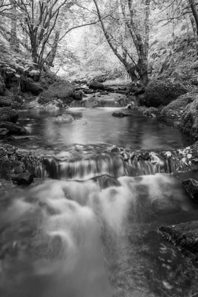 Somerset Teki Horner Ormanı Ndan Akan Horner Nehri Ndeki Şelaleye — Stok fotoğraf