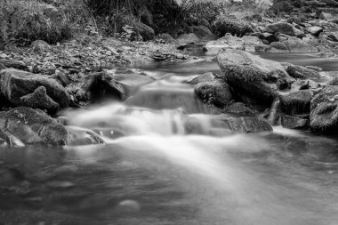Somerset 'teki Horner Ormanı' ndan akan Horner Nehri 'ndeki şelaleye uzun süre maruz kalmış.