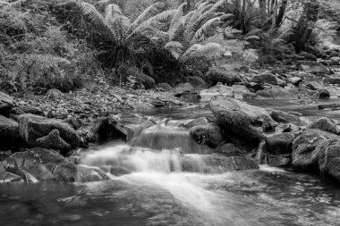 Somerset 'teki Horner Ormanı' ndan akan Horner Nehri 'ndeki şelaleye uzun süre maruz kalmış.