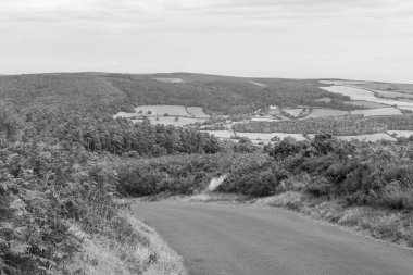 Exmoor Ulusal Parkı 'ndaki Horner Ormanı' nın Dunkery tepesinden görüntü