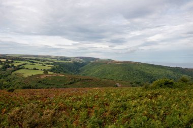 Exmoor Ulusal Parkı 'ndaki Horner Ormanı' nın Dunkery tepesinden görüntü