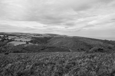 Exmoor Ulusal Parkı 'ndaki Horner Ormanı' nın Dunkery tepesinden görüntü